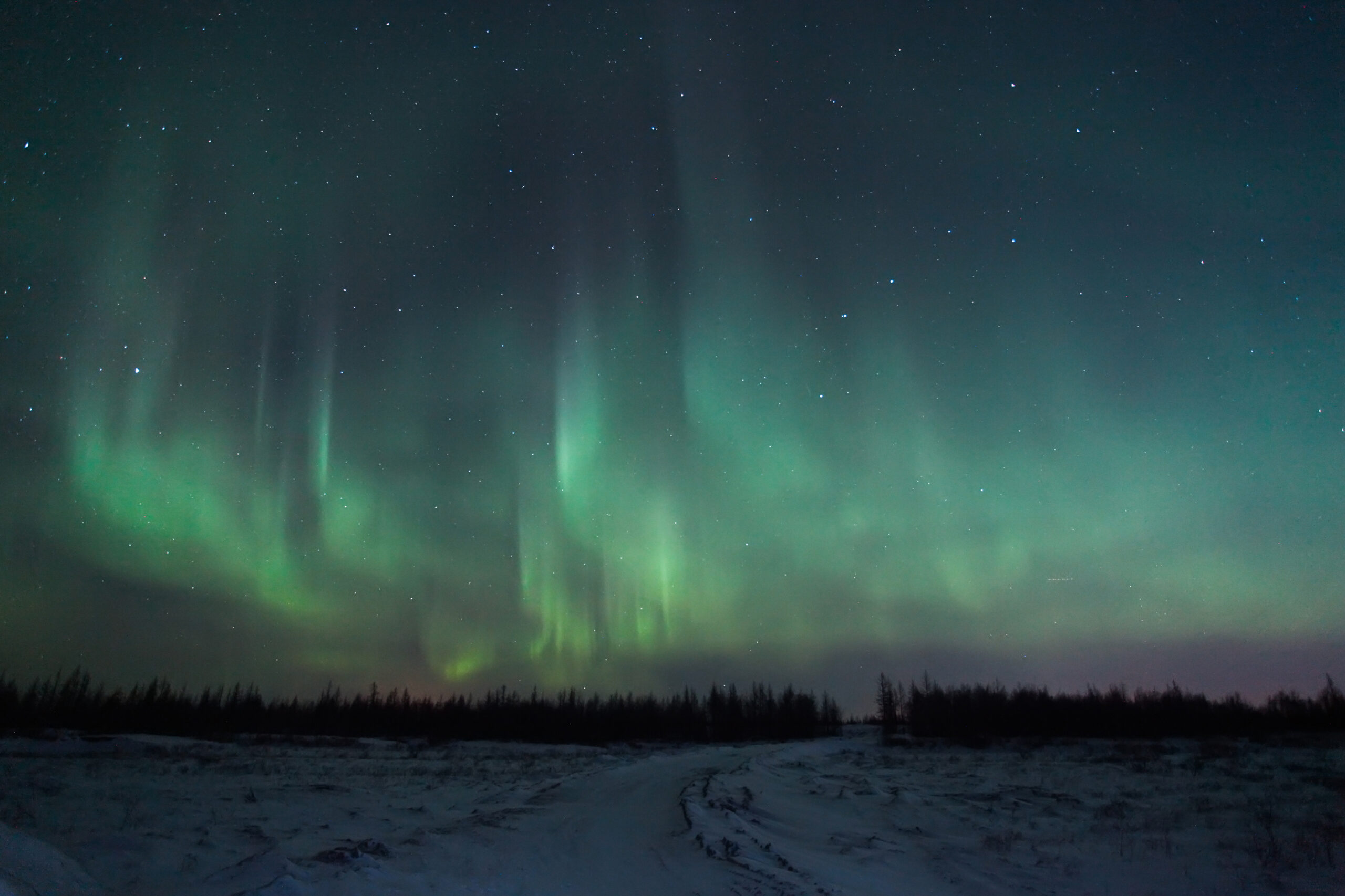 Northern lights (Aurora borealis) over the snow covered tundra